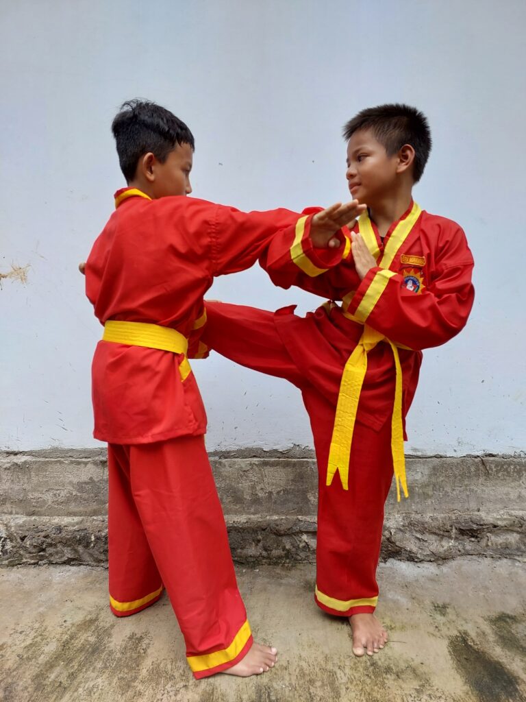 Tapak Suci